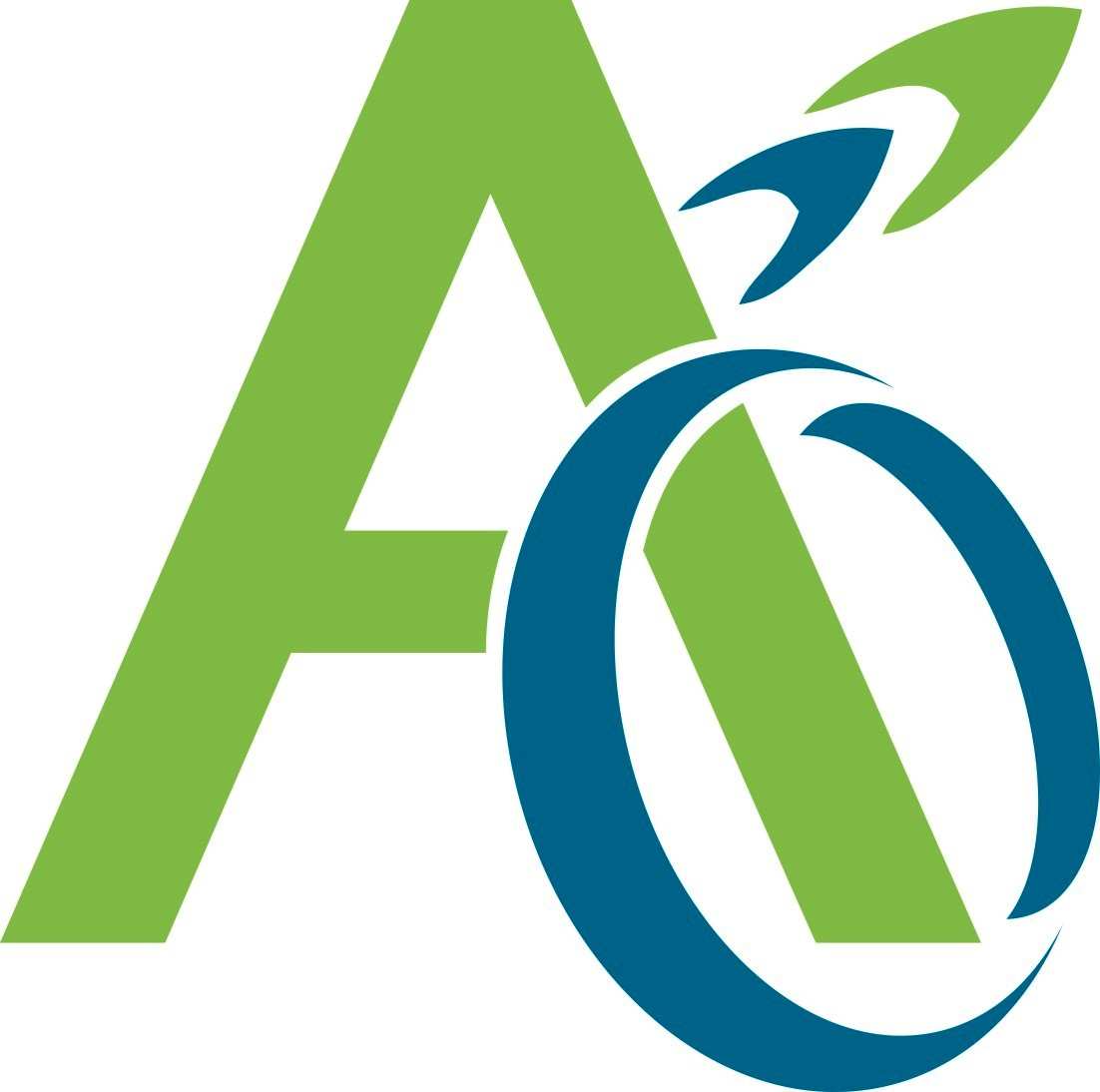 AZIM ONLINE || Mini Website